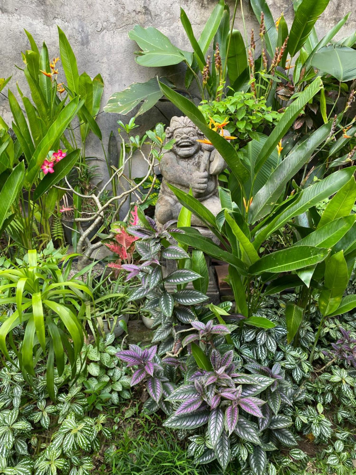 Kope House Ubud Екстер'єр фото